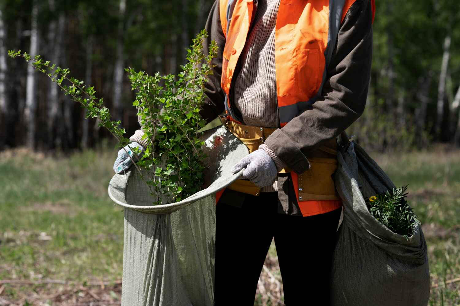 Best Emergency Tree Service  in Stratmoor, CO